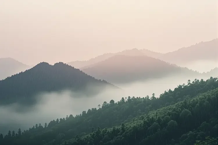 雨润山青 - 青草影视专题合集